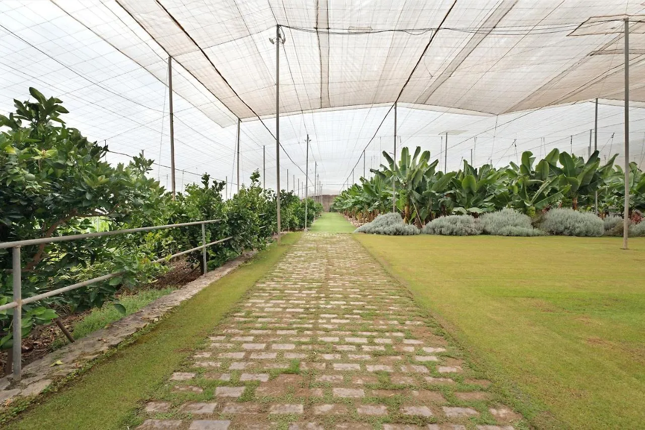 Finca La Calabacera Azul Santa Cruz de Tenerife Lägenhet